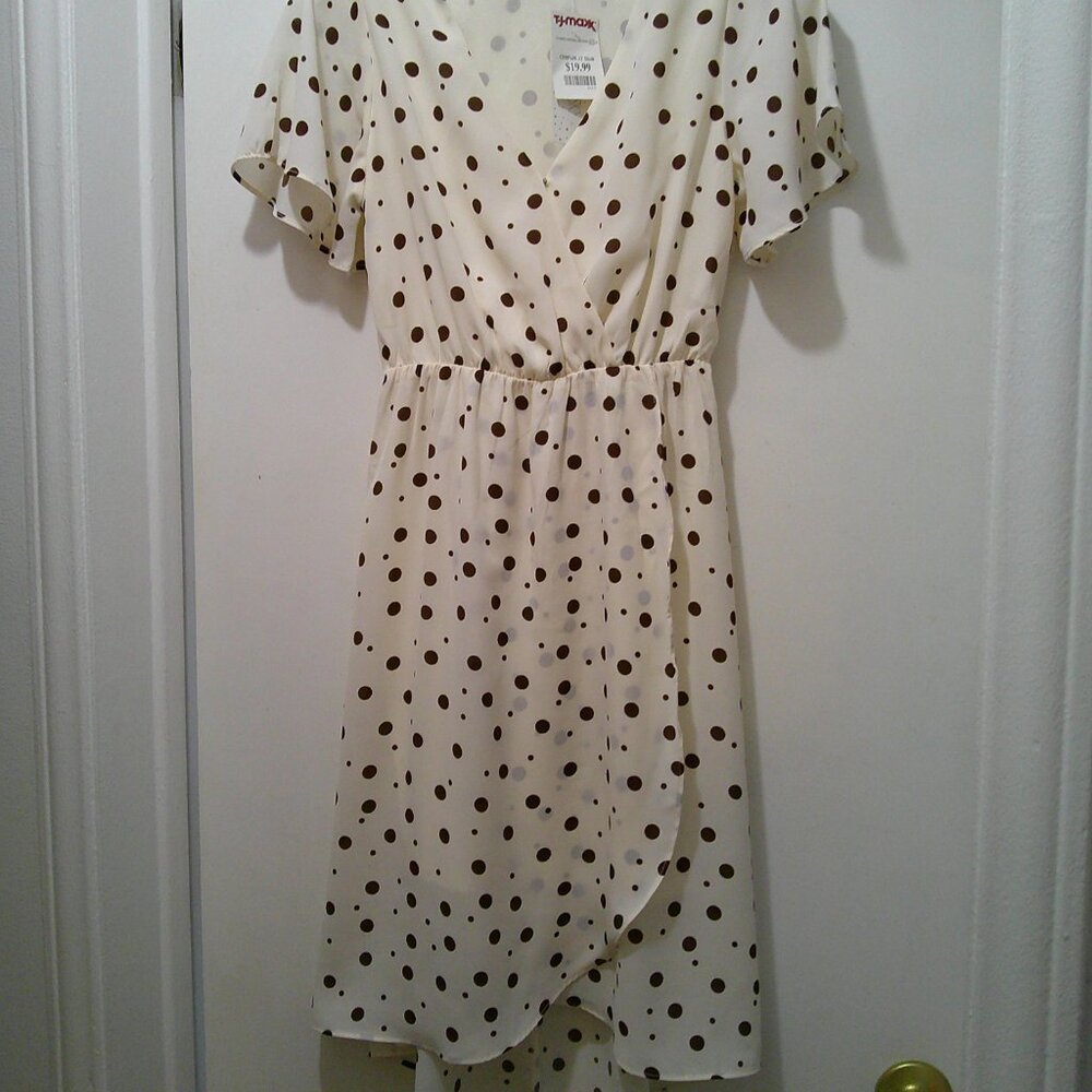 NWT Sienna Sky Ivory w Brown Polka Dot Dress High Low Dress Lined Size Small